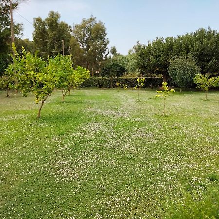 Agriturismo I Doni Del Mandorlo 阿尔盖罗 外观 照片