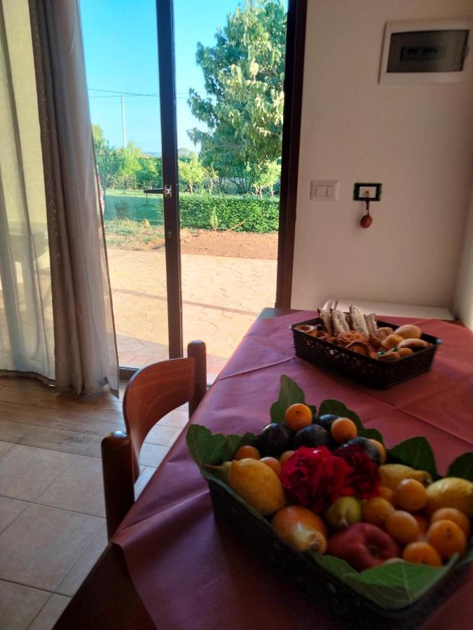Agriturismo I Doni Del Mandorlo 阿尔盖罗 外观 照片