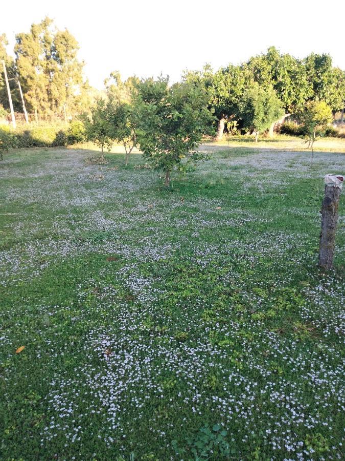 Agriturismo I Doni Del Mandorlo 阿尔盖罗 外观 照片
