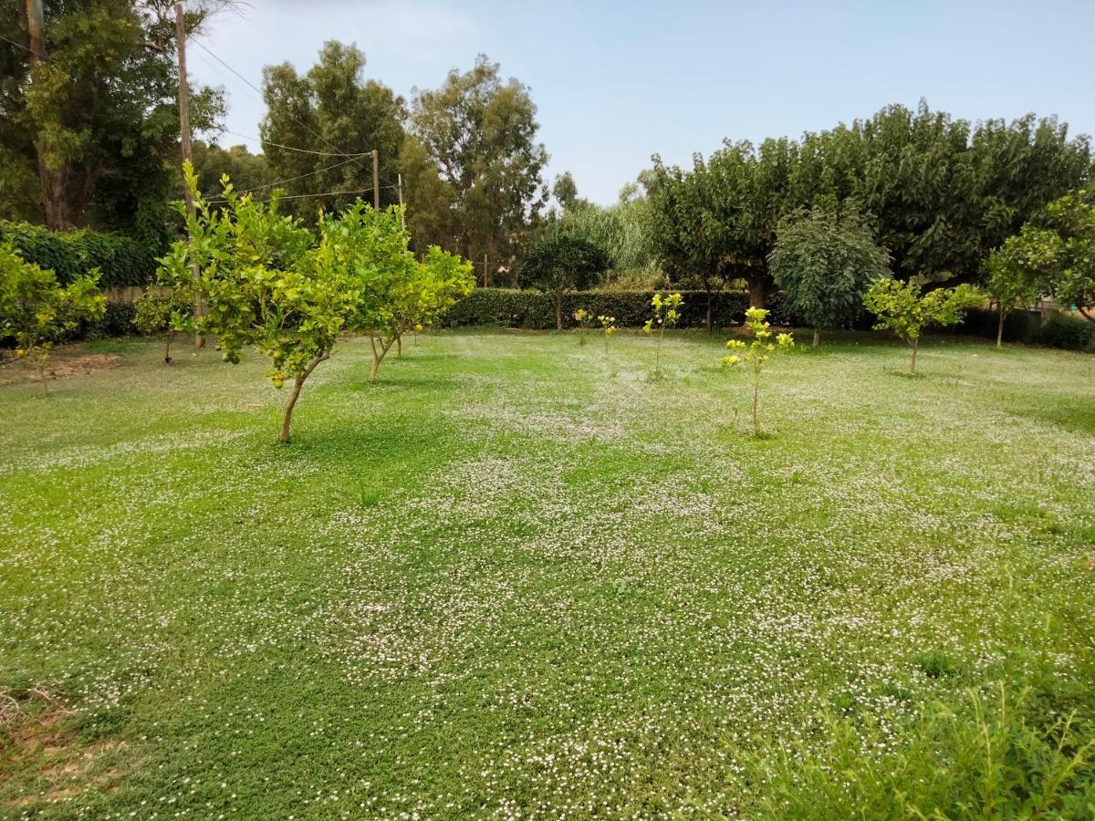 Agriturismo I Doni Del Mandorlo 阿尔盖罗 外观 照片