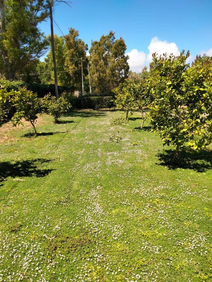 Agriturismo I Doni Del Mandorlo 阿尔盖罗 外观 照片